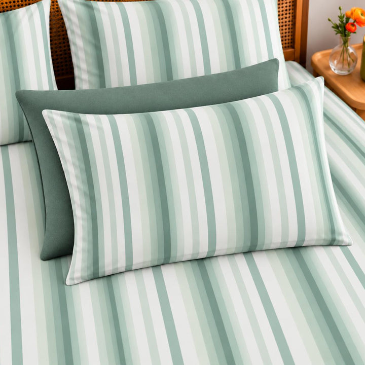 Green Band Cotton King Bedsheet - 250 TC