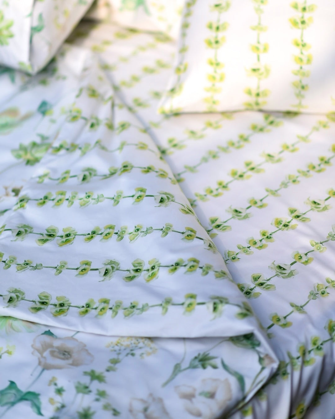 Rainy Garden Cotton King Bedsheet - 250 TC