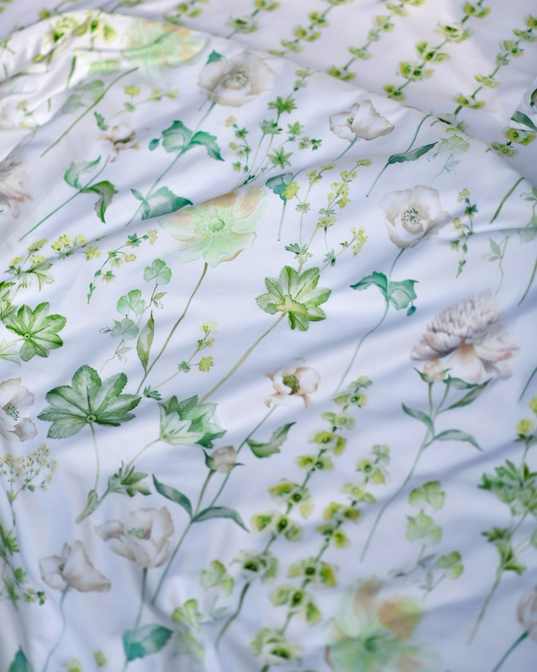 Rainy Garden Cotton King Bedsheet - 250 TC