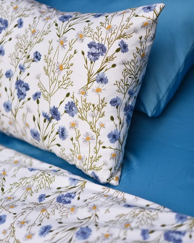 Colorwave Cotton King Bedsheet - 250 TC