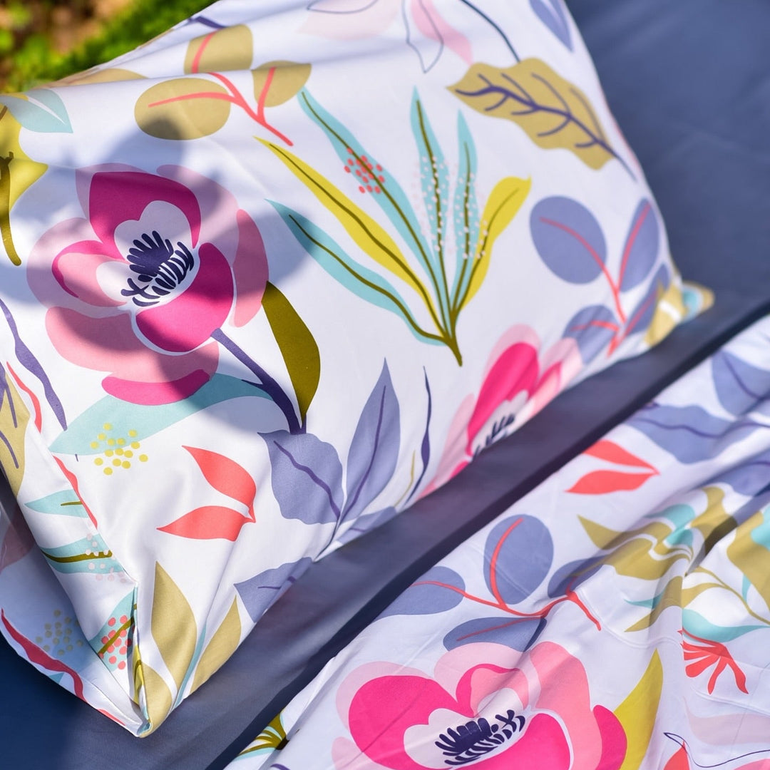 Color Splash Cotton King Bedsheet - 250 TC