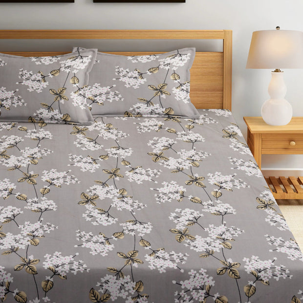 Primrose Path 210 TC Cotton Blend Flat King Bedsheet