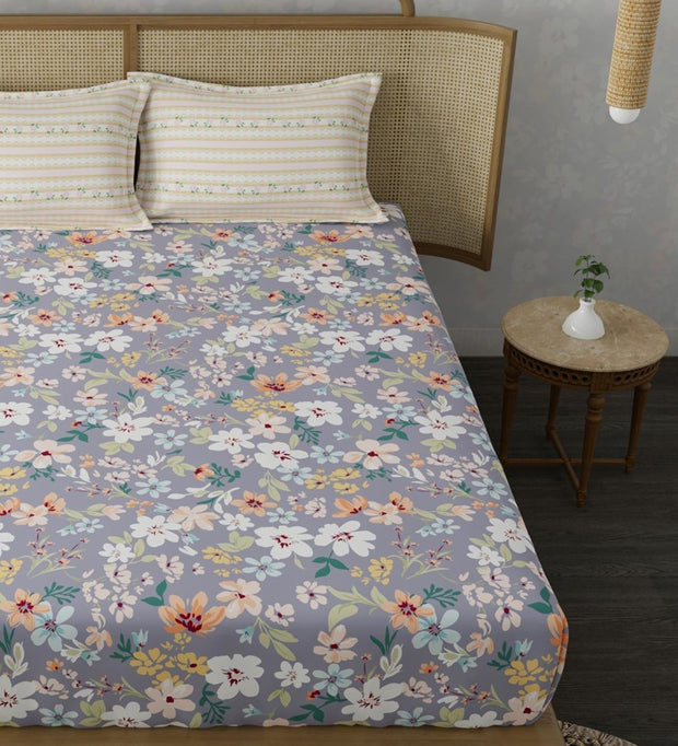 Grey Daffodil Elastic Fitted Cotton Blend King Bedsheet