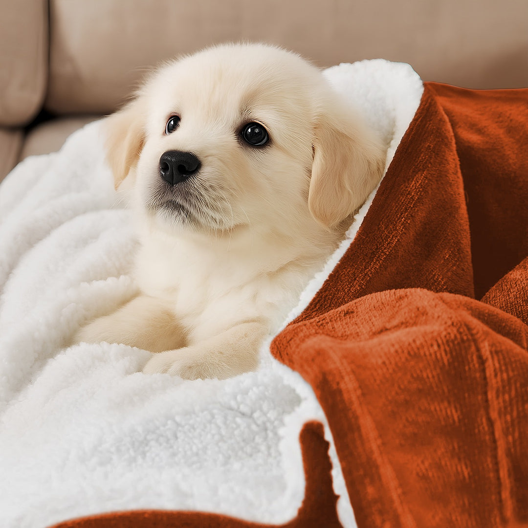 Sherpa California King Size Reversible 2in1 Blanket - Rust