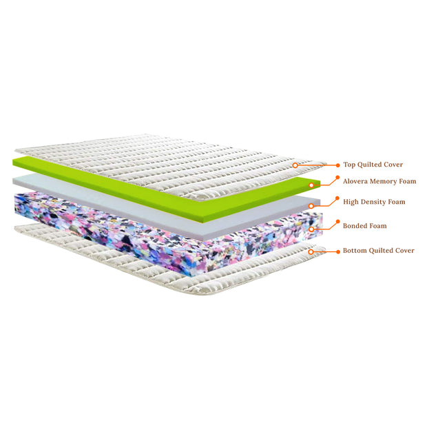 Spine Safe Plus